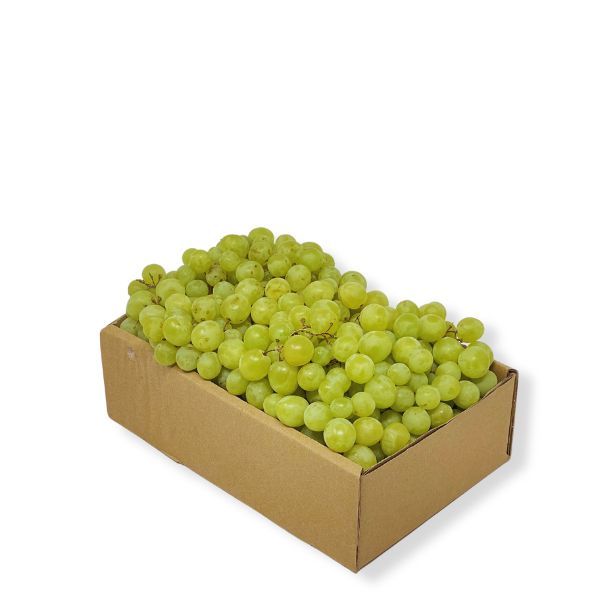 Small white Taif grapes, seedless, in a 1.5 kg pack, fresh fruit from Local Market.