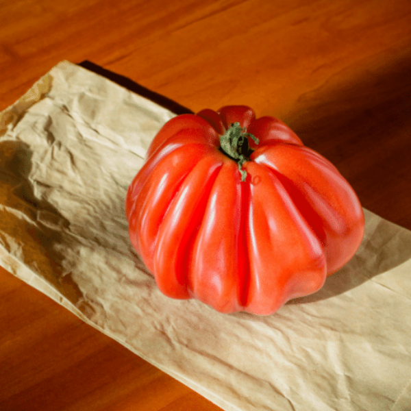 Holland Bull's Heart tomatoes, extra large coeurs de boeuf variety, fresh vegetable in 0.45 kg pack with vibrant red color