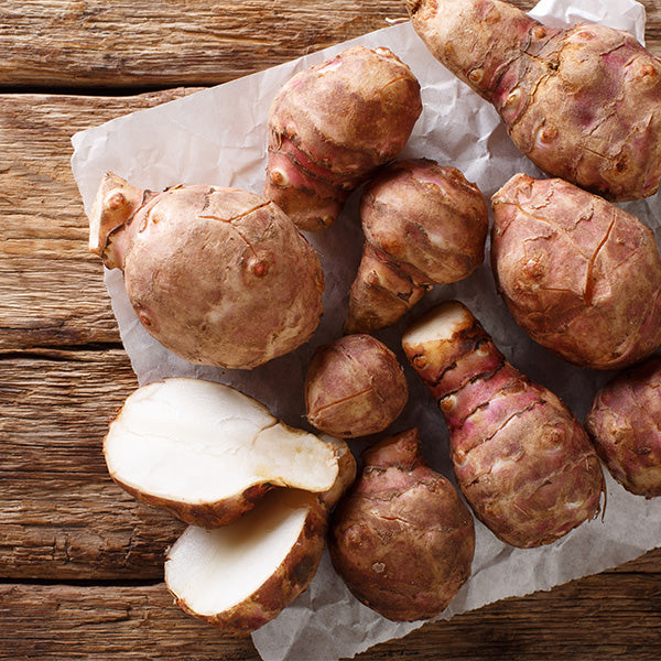 Topinambur, Jerusalem artichoke, sunroot 1 Kg pack - Sharbatly.Club