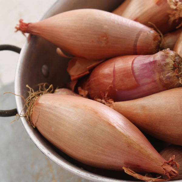 Round Holland shallots in a 0.25 kg vegetable pack, fresh and ready for cooking