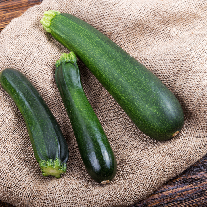Single extra-large European zucchini vegetable from Holland, showcasing smooth green skin and elongated shape.