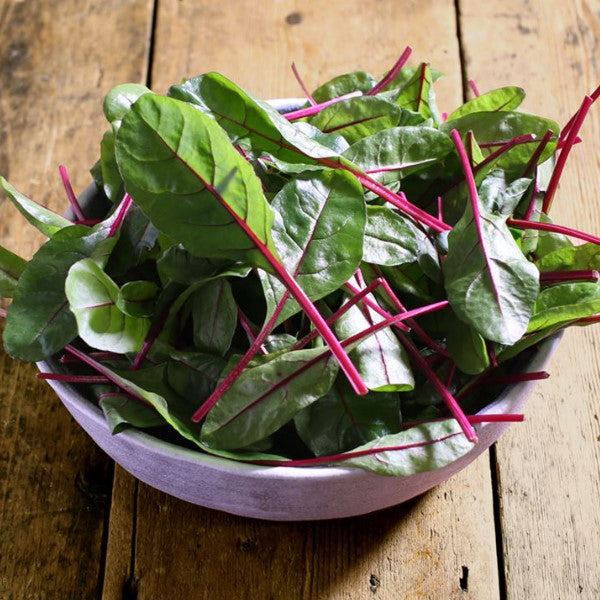 Fresh baby red chard lettuce in a Holland 0.125 kg vegetable pack, with vibrant green and red leafy stems.