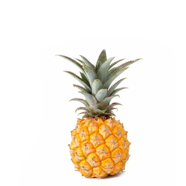 Holland Pineapple Baby Queen Victorian fruit, single piece with vibrant yellow skin and leafy crown, fresh and ready to eat.