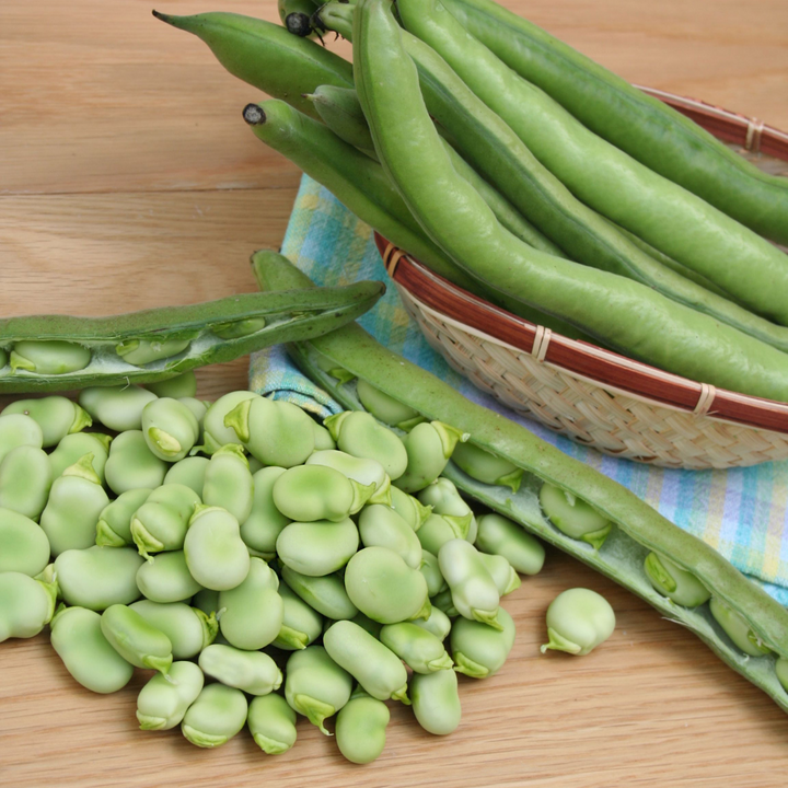 Fresh broad beans from Local Market, 1 kg pack, showcasing vibrant green fava beans in a natural vegetable display.