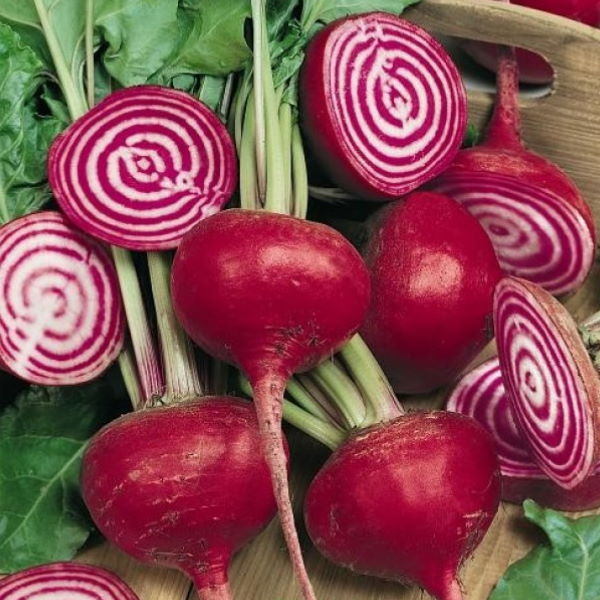 Fresh Holland Beetroots Chioggia in a 1 kg pack, showcasing vibrant red and white striped vegetables on a white background.