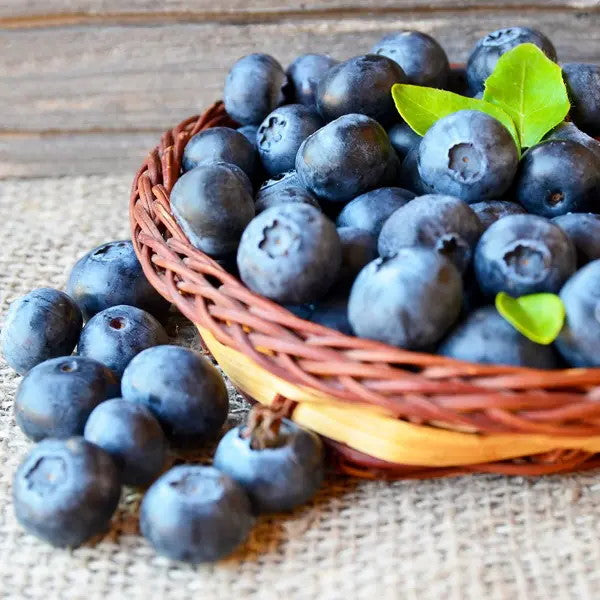Fresh blueberries from Driscoll's in a 0.5 kg family pack, showcasing vibrant, ripe blue berries in a clear container.