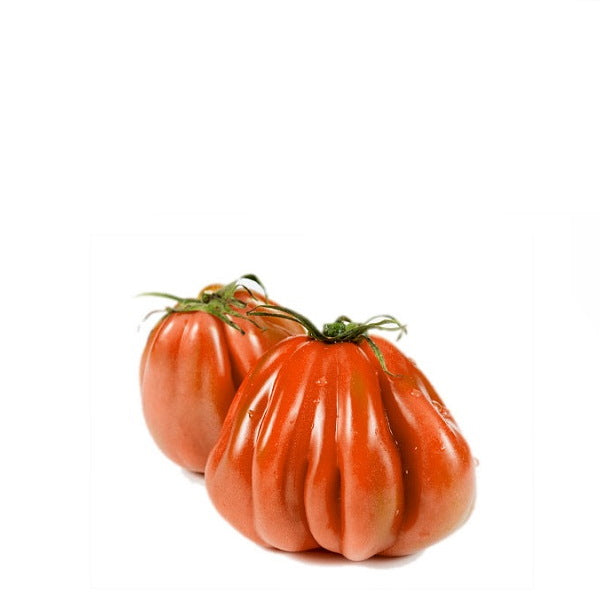 Holland Bull's Heart Extra Large Tomatoes in 0.45 kg pack, vibrant red vegetable with meaty texture and large, heart-shaped fruit.