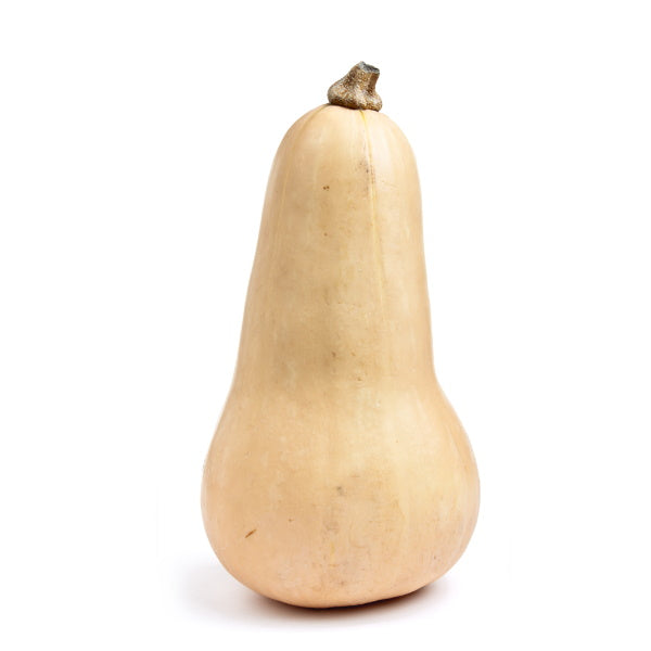 Single piece of Baladi butternut squash from Local Market, showcasing its smooth, tan skin and elongated shape.