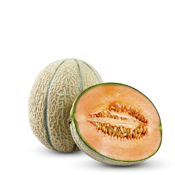 Fresh Holland cantaloupe melon, single piece, showcasing its orange flesh and green rind in a natural fruit display.
