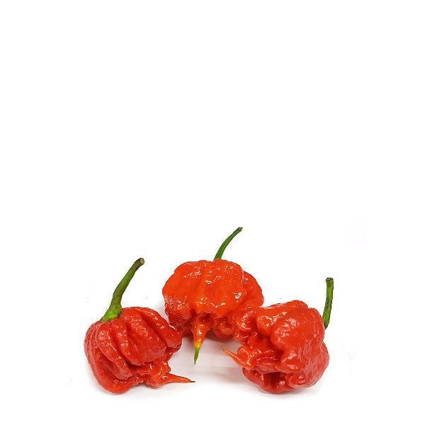 Holland Carolina Reaper pepper herb in a 0.150 kg pack, showcasing vibrant red hot peppers known for extreme heat.