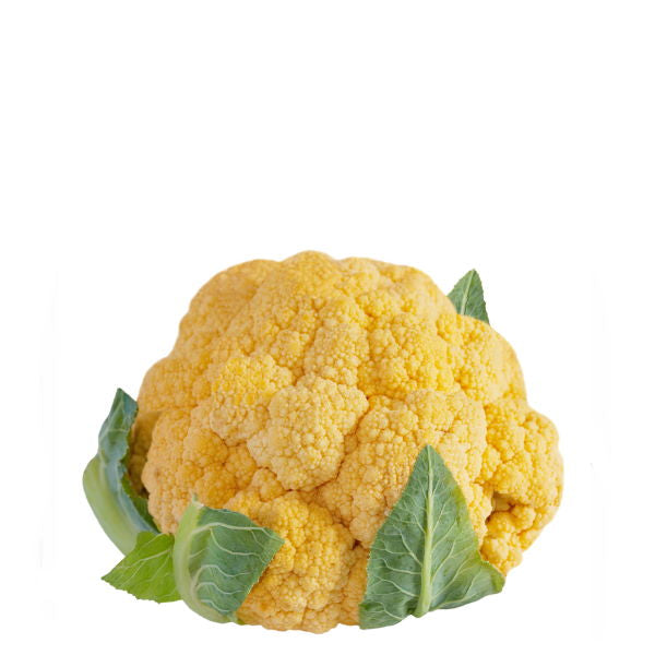 Orange cauliflower from Holland, fresh vegetable, single piece with vibrant orange color and leafy green stems.
