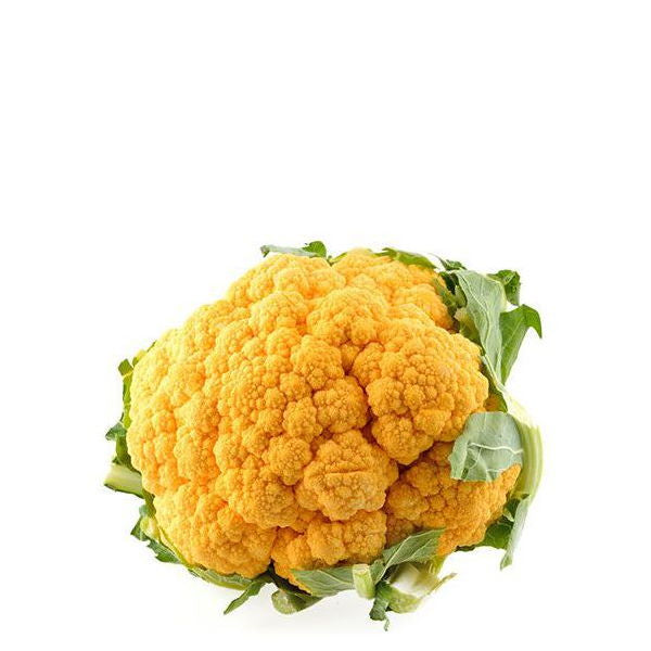 Fresh orange cauliflower from Holland, a single vegetable piece with vibrant orange color and crisp texture.