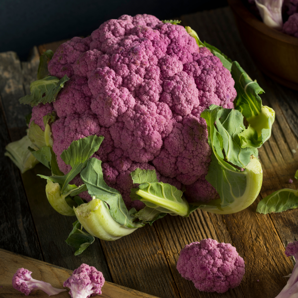 Single purple cauliflower from Holland, showcasing vibrant violet color and fresh vegetable appearance.
