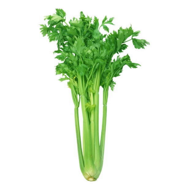 Fresh leafy celery bunch from Local Market with vibrant green stalks and leafy tops, ideal for salads and cooking.