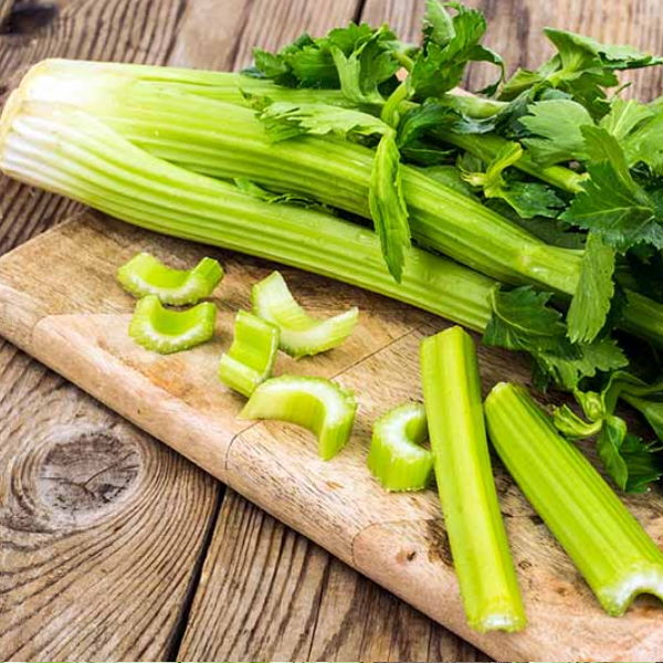 Fresh celery green leafy vegetable bunch from Local Market, showcasing vibrant, crisp stalks and leafy tops.