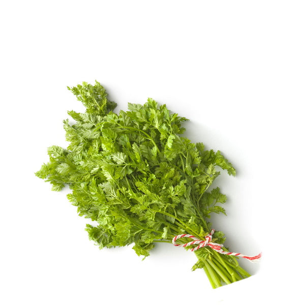 Fresh Chervil herb bunch from Holland, 0.1 kg, with delicate green fronds and tender stems, ideal for culinary use.