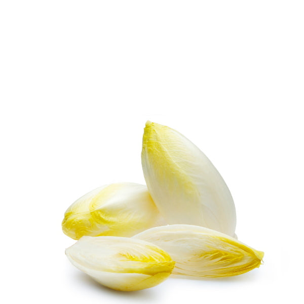 Fresh Holland chicory white vegetable in a 0.5 kg pack, showcasing crisp, leafy vegetable with white stalks.