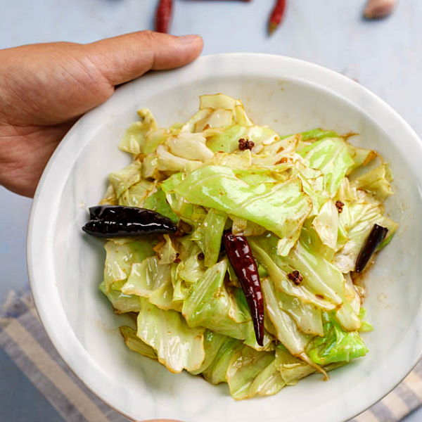Fresh Chinese Napa cabbage vegetable by Holland, showing a whole single leafy cabbage on a clean background.