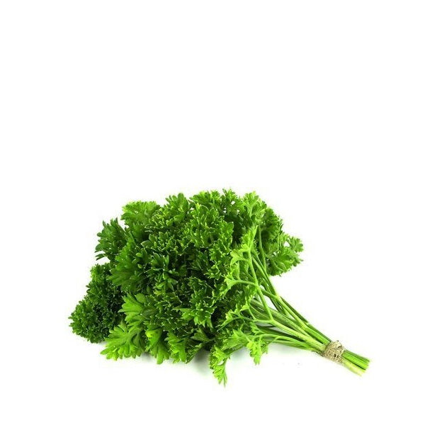Fresh curly parsley bunch from Holland, 0.1 kg, vibrant green herb with ruffled leaves for garnish and cooking.