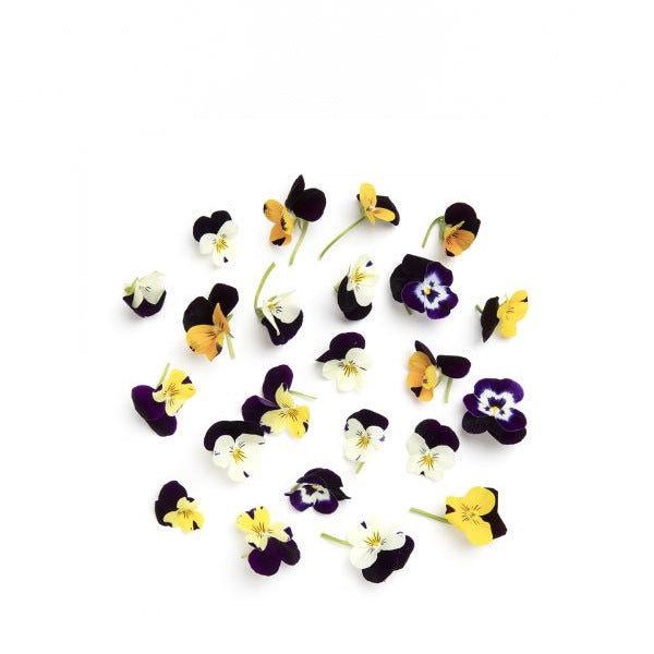 Mixed edible flowers including cornflower and viola blossoms from Holland, 100 flowers in two packs, perfect for garnishing dishes.