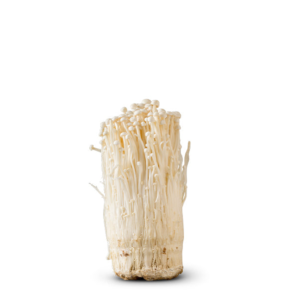 Fresh Holland enoki mushrooms in a 0.1 kg vegetable pack, featuring long white stems and small caps, ready for cooking.