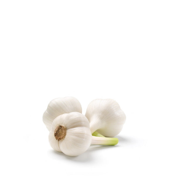 Fresh garlic green spring vegetables from Holland in a 0.3 kg pack, showcasing vibrant, fresh green garlic stalks.