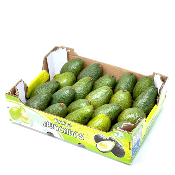 Carton of fresh Fuerte avocados from Local Market, 4 kg, showing ripe green avocados inside the box.