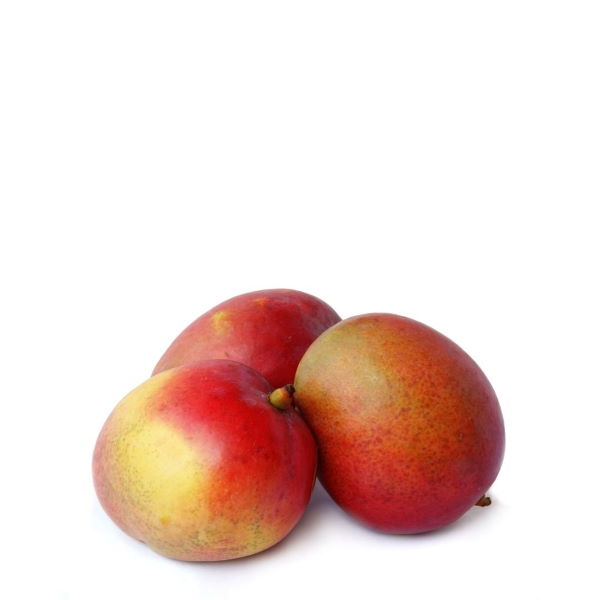 Fresh Mango Qalbaltor fruit in a 3 kg bag, perfect for juice, from Sharbatly, showcasing ripe, vibrant mangoes.