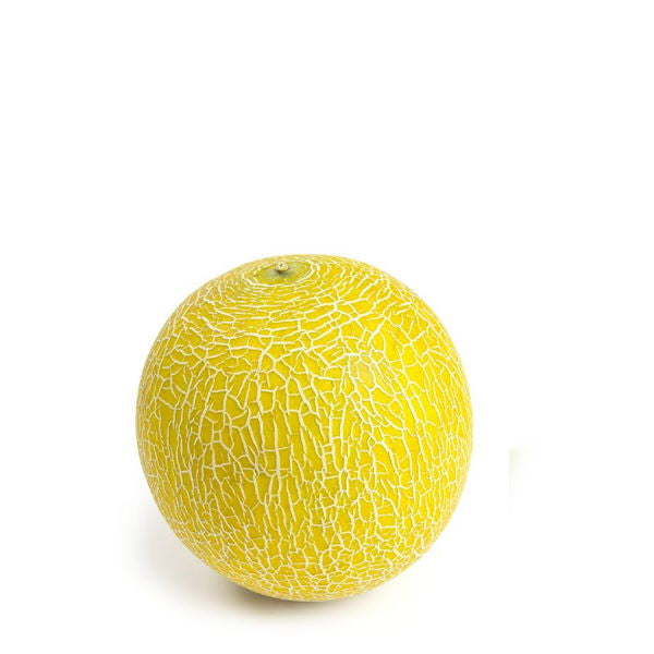 Fresh Galia melon from Holland, single ripe fruit with smooth yellow skin and sweet aroma, ready to enjoy.