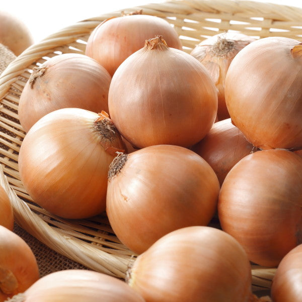 Golden onions in a 2 kg bag from Local Market, fresh vegetable with golden-brown skin and layered bulbs.