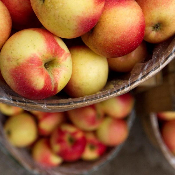 Gold Rose apples in a 4 kg carton, fresh flower-themed fruit from Sharbatly, showcasing vibrant apples in a carton.