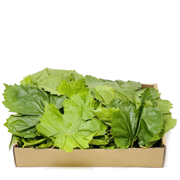Fresh green grape leaves in a 0.5 kg box, natural vegetable product from Local Market, ready for cooking or stuffing.