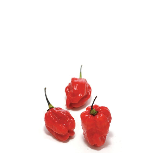 Red Habanero pepper herb from Holland, 0.15 kg pack, showcasing vibrant, fresh hot peppers with green stems.