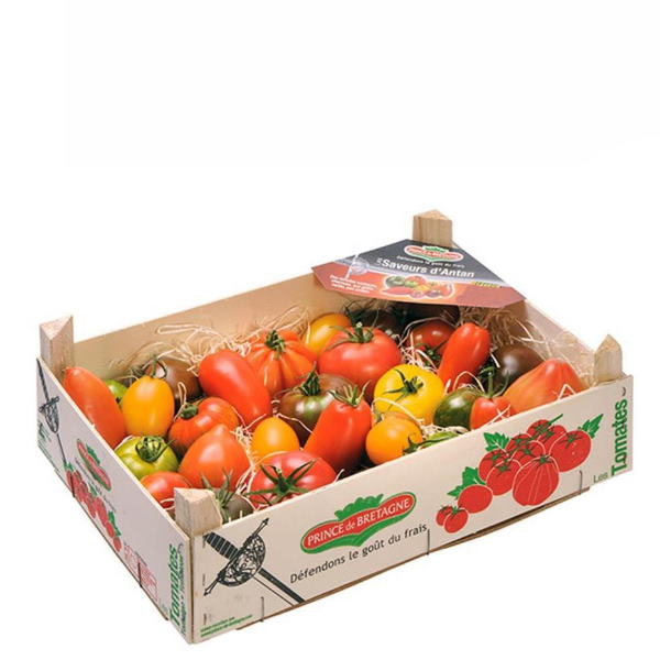 Mixed heirloom tomatoes in a 3.5 kg carton from Holland, fresh and colorful vegetable display.