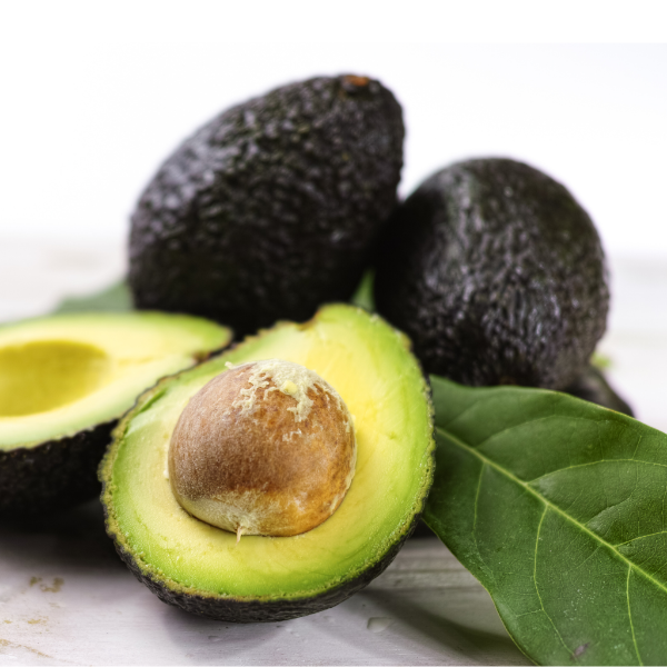 Fresh Hass avocado from Sharbatly, whole fruit with dark green, bumpy skin, ready to eat or use in recipes.
