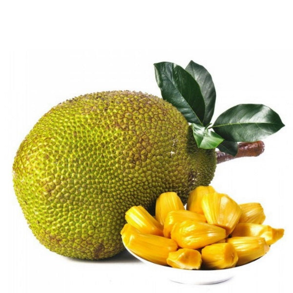 Whole Thai jackfruit, large 10 kg fruit, showcasing green spiky exterior and size, fresh and ready to eat.