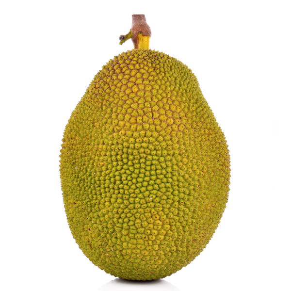 Whole Thailand jackfruit, 10 kg single piece, large tropical fruit with green spiky exterior and yellow flesh inside.