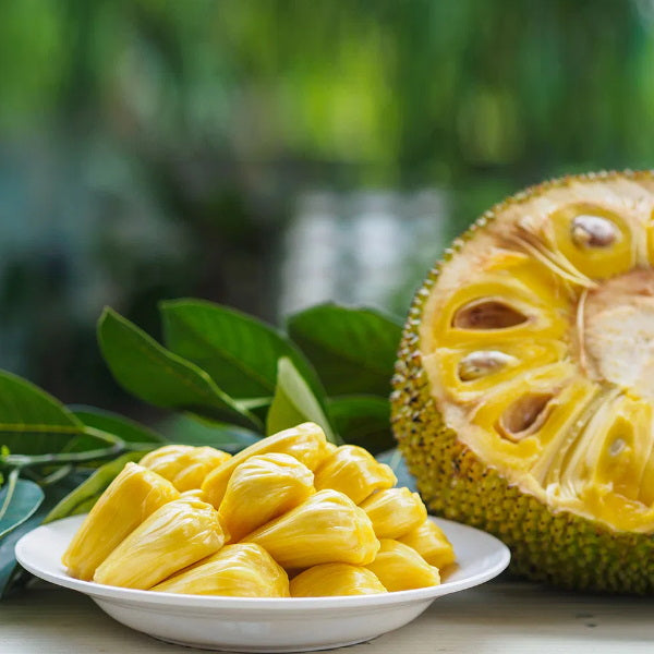 Whole Thai jackfruit, 10 kg fresh fruit with green exterior and large, spiky surface, displayed in a natural setting