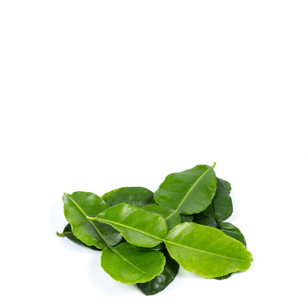 Fresh lemon leaves herb from Thailand in a 0.1 kg bag, showcasing vibrant green lemon leaves on a natural background.