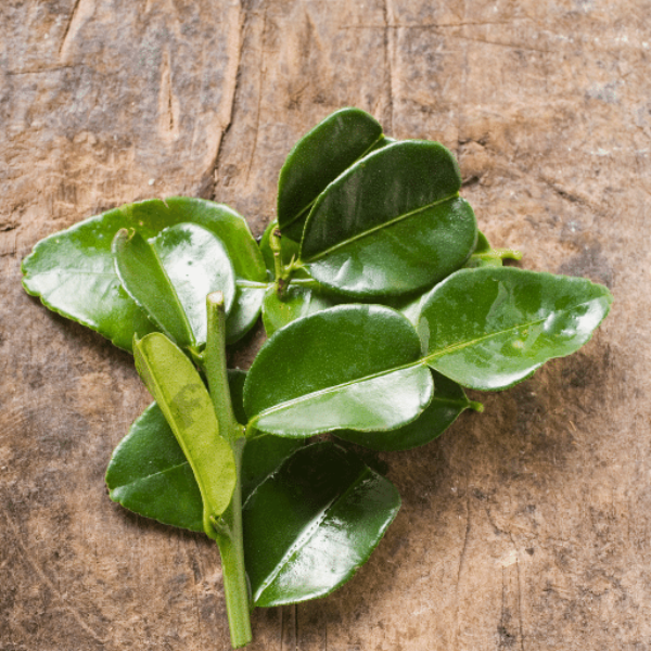 Fresh lemon leaves herb from Thailand in a 0.1 kg bag, green aromatic leaves used in cooking and herbal remedies.