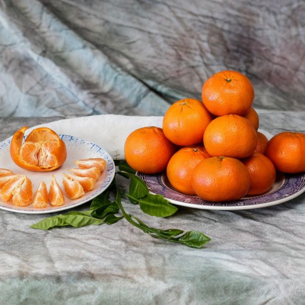 Sharbatly easy peeler Nadorcot mandarins in a 10 kg carton, fresh and vibrant citrus fruit ready for peeling.