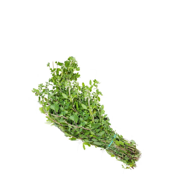 Marjoram, 0.1 kg bunch - Sharbatly.Club