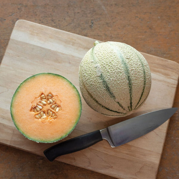 Holland Melon Charentes from AIR, fresh whole fruit with orange-green rind, displayed on a white background.
