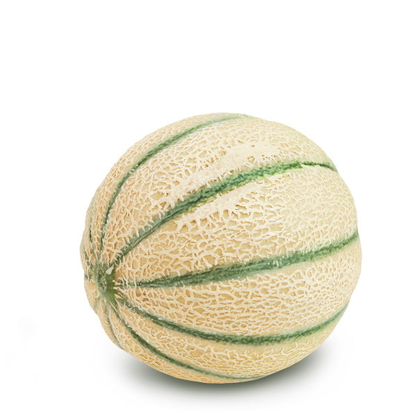 Single piece of fresh muskmelon fruit from Local Market, showcasing its orange flesh and round, netted rind.