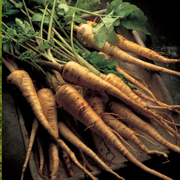 Fresh Holland parsnips in a 1 kg pack, showcasing their tapered, creamy-white root vegetable appearance.