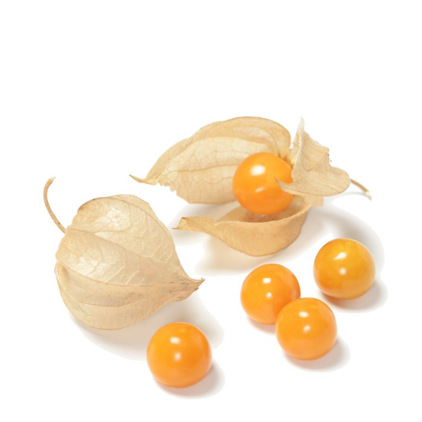 Fresh Holland Physalis, cape gooseberries in a 0.1 kg pack, showcasing bright orange berries with papery husks.