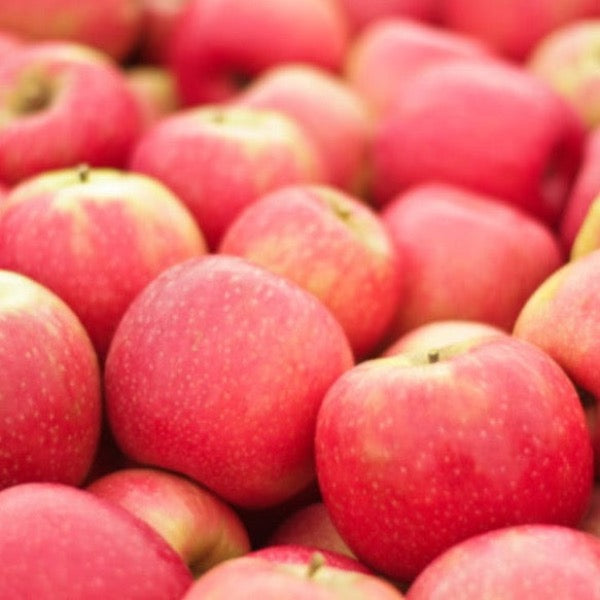 Pink Lady apples in a 0.65 kg pack from Sharbatly, fresh and vibrant pink-skinned fruit on display.