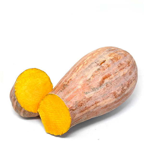 Single Violina squash pumpkin, fresh vegetable from Local Market, showing its vibrant orange color and smooth, rounded shape.