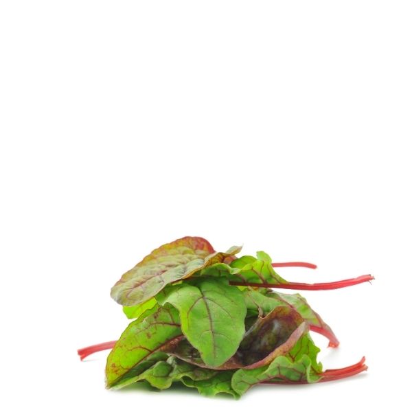 Fresh baby red chard lettuce from Holland in a 0.125 kg pack, showcasing vibrant red and green leafy vegetable.