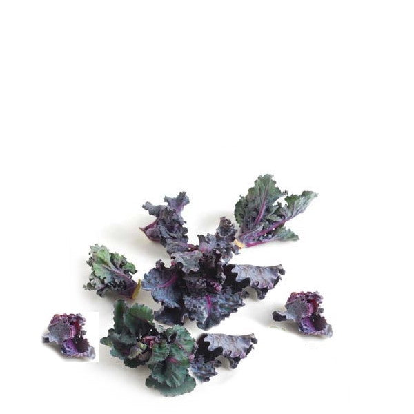 Fresh baby purple kale, a superfood vegetable by Holland, shown in a 0.125 kg pack, featuring vibrant purple leaves.